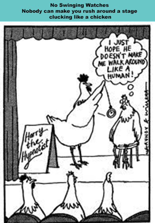 Hypnomythchicken500px